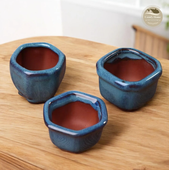 Ceramic Bonsai Pot (8-inch)